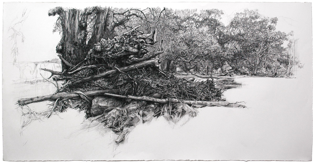 Robert Shepherd, Plein air study - Tree Stump - Dry river bed Flinders Ranges