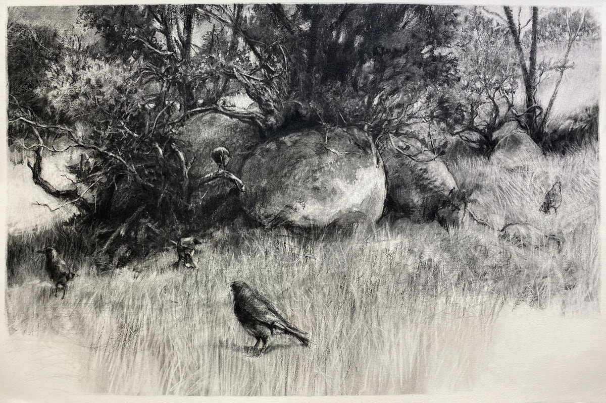 Robert Shepherd, Currawongs amongst granite boulders, Six Foot Track